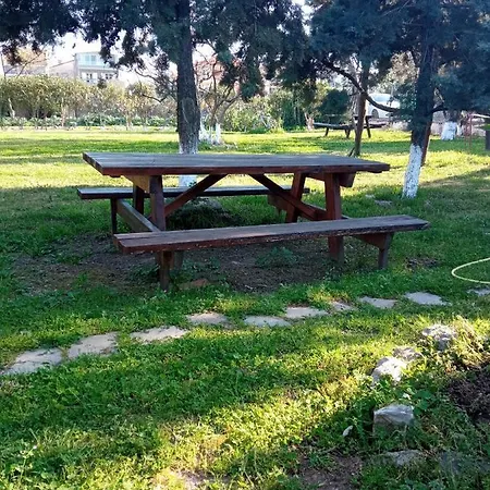 Sofia's Garden