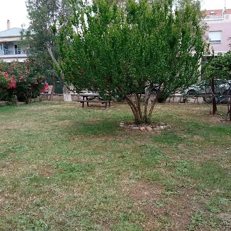 Sofia's Garden