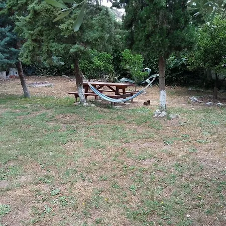 Sofia's Garden
