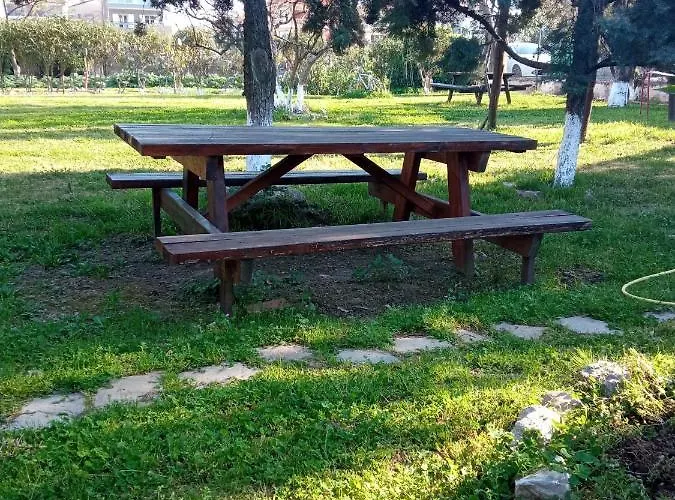 Sofia's Garden