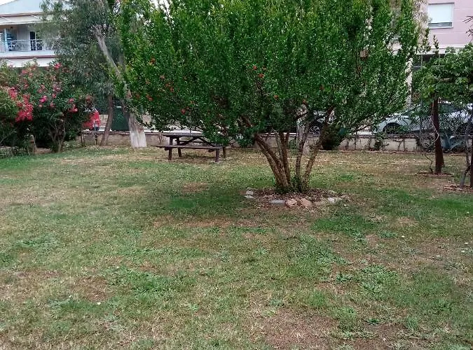 Sofia's Garden