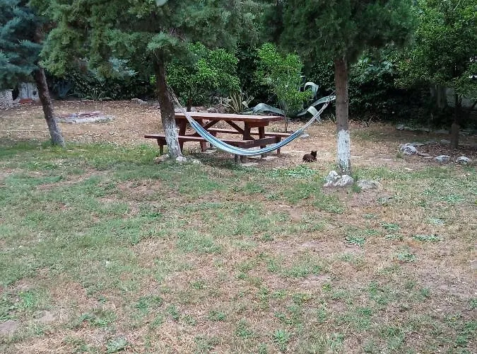 Sofia's Garden
